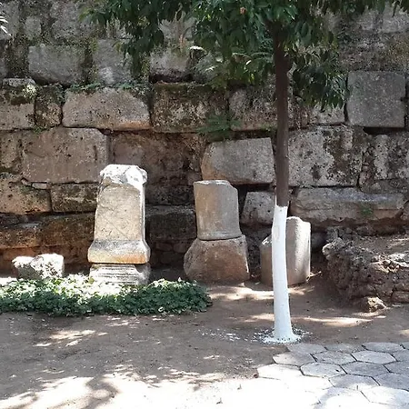 Citrus Garden Ξενοδοχείο
