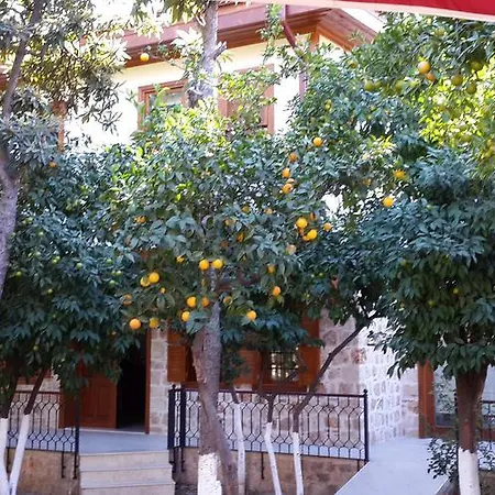 Ξενοδοχείο Citrus Garden 3*
