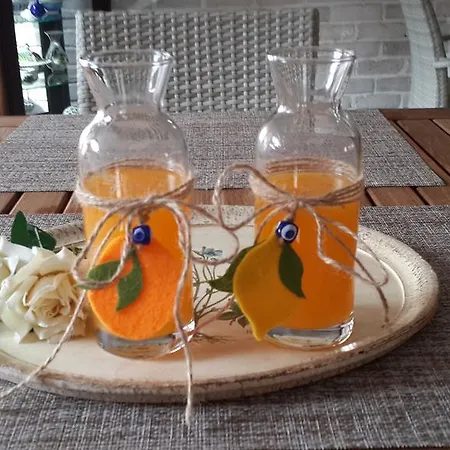 Citrus Garden Ξενοδοχείο