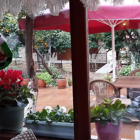 Citrus Garden Ξενοδοχείο