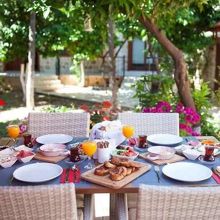 Ξενοδοχείο Citrus Garden 3*