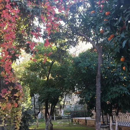 Citrus Garden 3* Αττάλεια