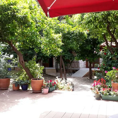 Ξενοδοχείο Citrus Garden