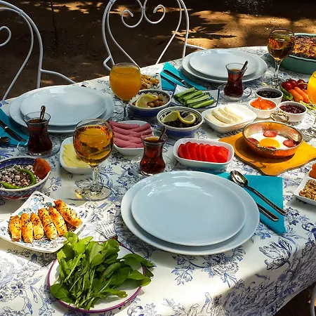 Ξενοδοχείο Citrus Garden Αττάλεια