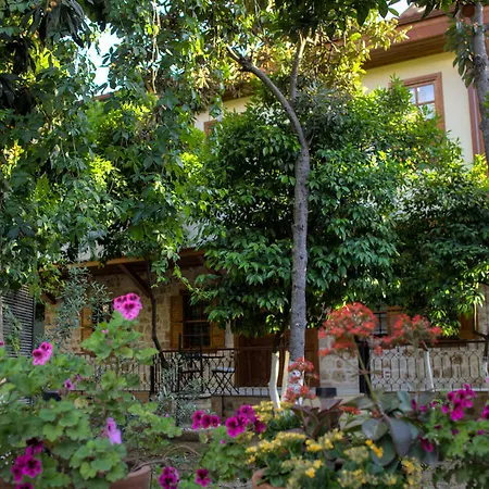 Hotel Citrus Garden