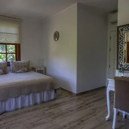 Citrus Garden Hotel 3*