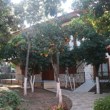 Citrus Garden 3*