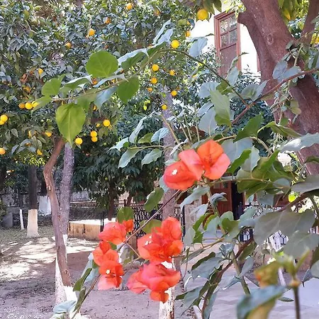 Citrus Garden 3*