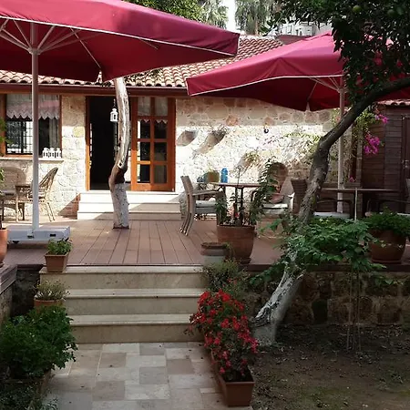 Citrus Garden 3*