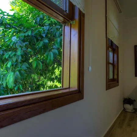 Citrus Garden Hotel