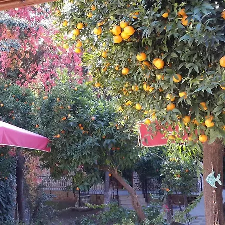 Citrus Garden 3*