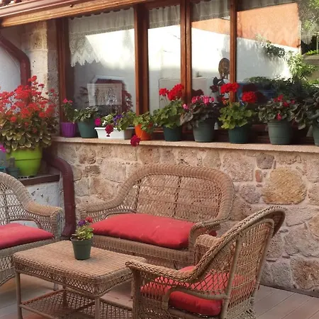 Citrus Garden 3*