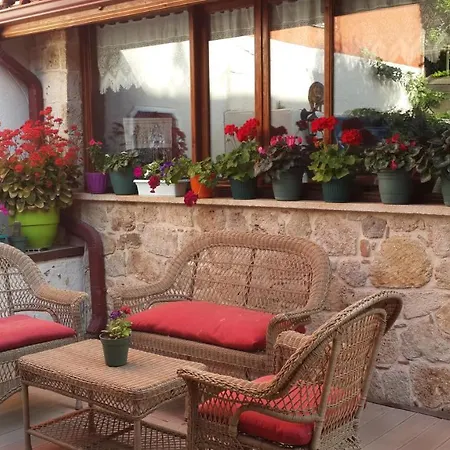 Citrus Garden 3*