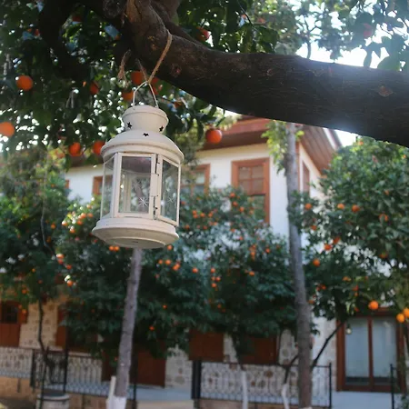 Citrus Garden 3* Antalya